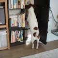 こんな時に読みたい…