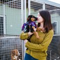 米国獣医師からの提…