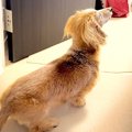 17歳のおばあちゃん…