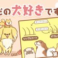 ただの犬好きです。…