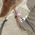 妹が家に遊びに来た…