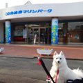 油壺マリンパーク 愛…