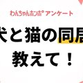 【アンケート実施中…