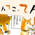 てんてこ、てん。【…
