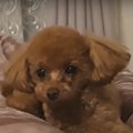 赤ちゃんの頃からず…