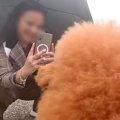 京都に来た『アニメ…