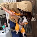 「やだー！」雨カッ…