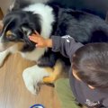 仲良しな男の子と犬→…