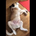 【すでに大物】どん…