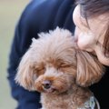 犬が不安になってし…
