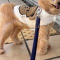 強風の日、外に出た…