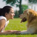 【愛犬家必見】科学…