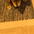 『仕事行ってくるね…