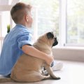 犬は成長期でその後…