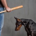 犬が心を閉ざしてし…