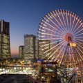 横浜のドッグカフェ…