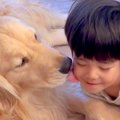 『男の子と大型犬』…