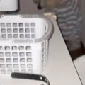 夜、寝室に大型犬が…