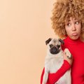 犬が『抱っこを嫌が…