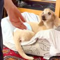 おばあちゃんと3年ぶ…