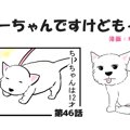 ちーちゃんですけど…