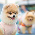 どんなときに役立つ…