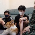 『婚姻届を出すよう…