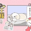 うちの王様にはどう…