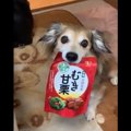 甘栗をもらえないと…