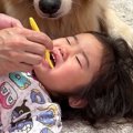 2歳の女の子が、歯み…