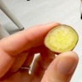 『蒸した芋』を犬に…
