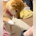 腕についた『輪ゴム…