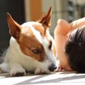  ペット共生住宅とは…