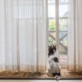 何を考えているの？…