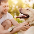 犬が『愛情を感じる…