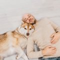 犬があなたに「大好…