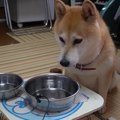 無くなっちゃった…お…