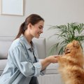 愛犬に『話しかける…