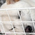 気持ちよさそうに眠…