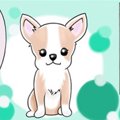 かわうそちわわ。（6…