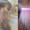 これで貴方もお手入…