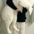 いつもパパに抱っこ…