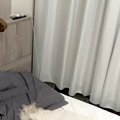 仕事を終えて『犬が…