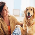犬が足で『ちょいち…