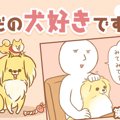 ただの犬好きです。…