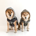 静電気が犬に及ぼす…
