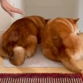 掃除機をかけていた…