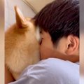 犬と相思相愛かと思…