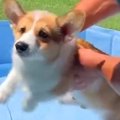 生後3ヵ月の赤ちゃん…