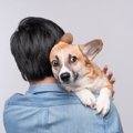 犬を抱っこする時の…